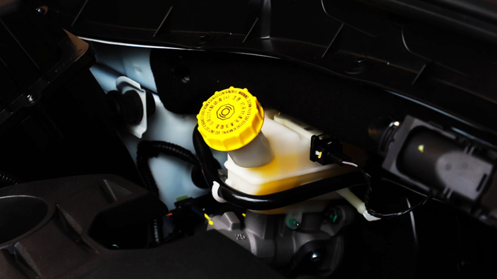 Premature Brake Fluid Exchanges