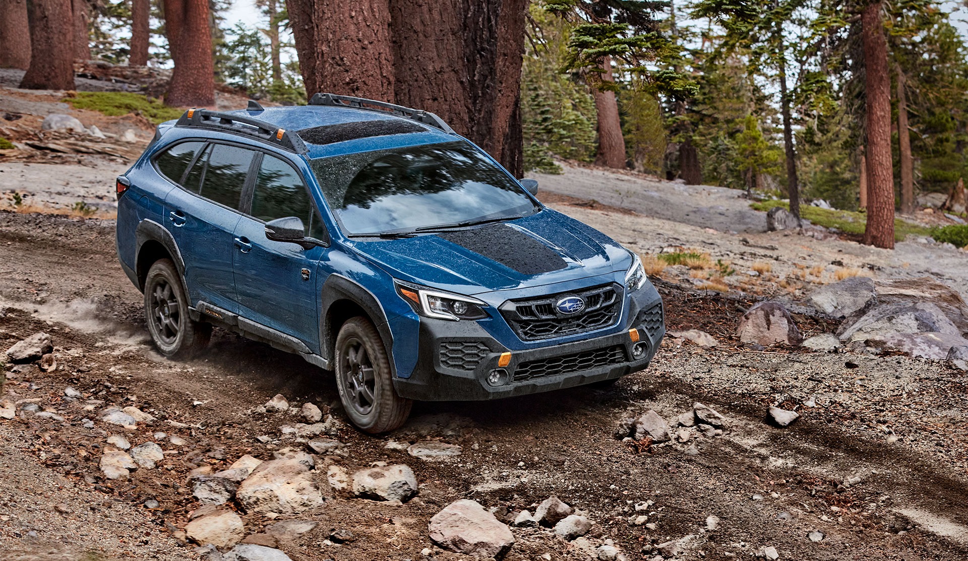 Subaru Outback Wilderness