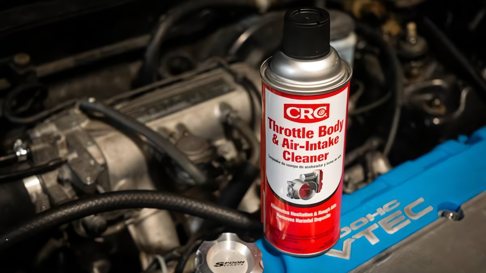 Throttle Body and Air Induction Cleaning