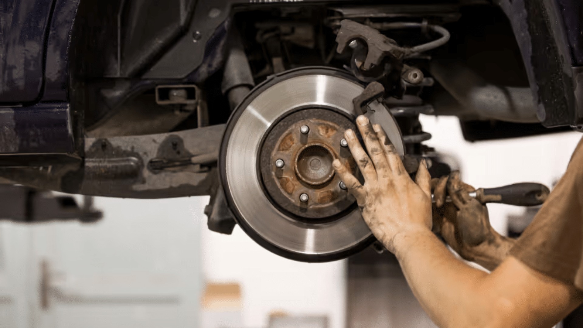 Vehicle's disc brake assembly
