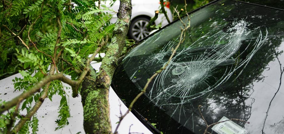 Windshield and Glass Damage