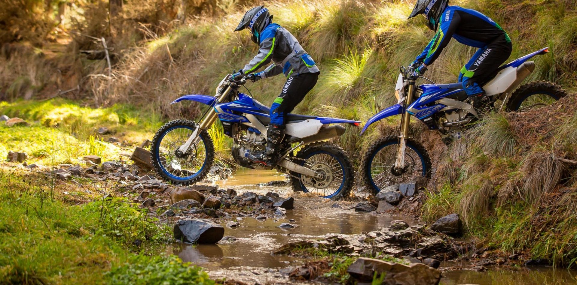 Yamaha WR250F