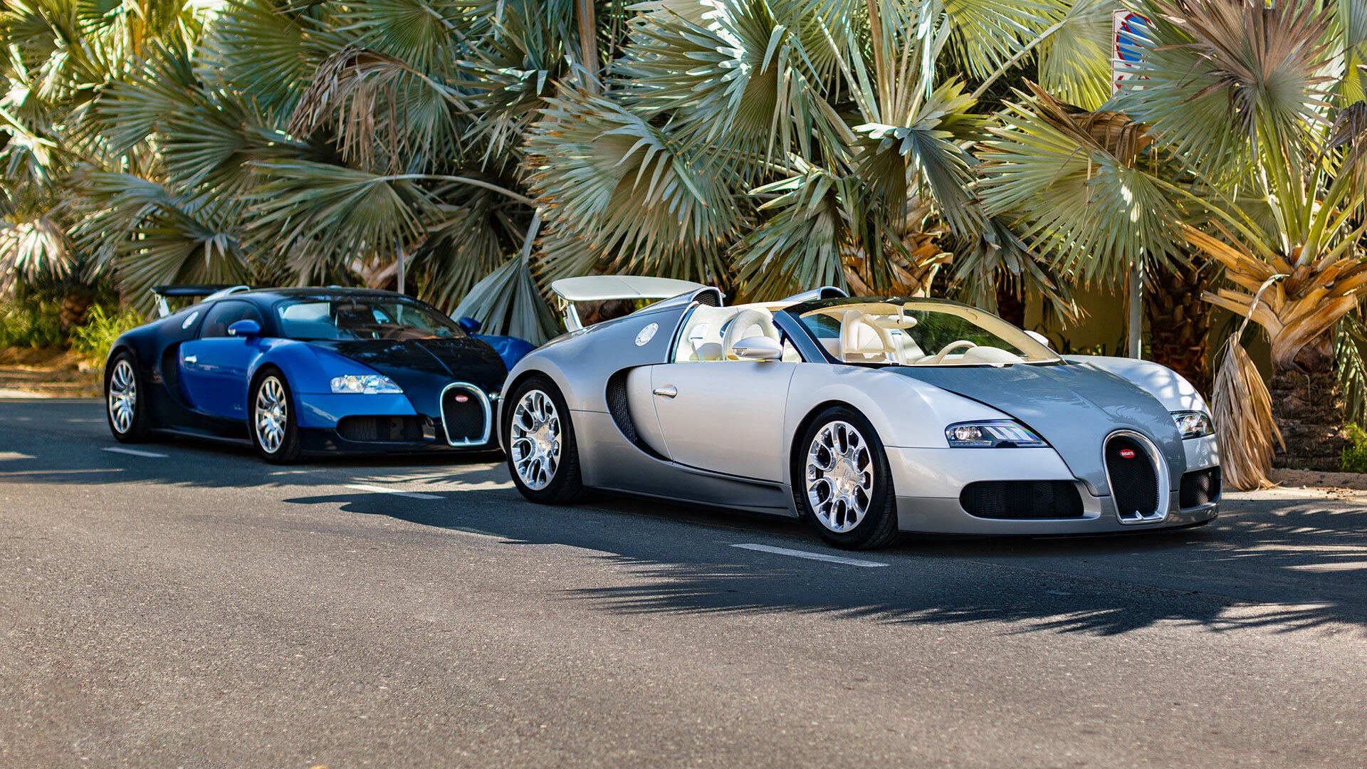 Bugatti Veyron 16.4 models