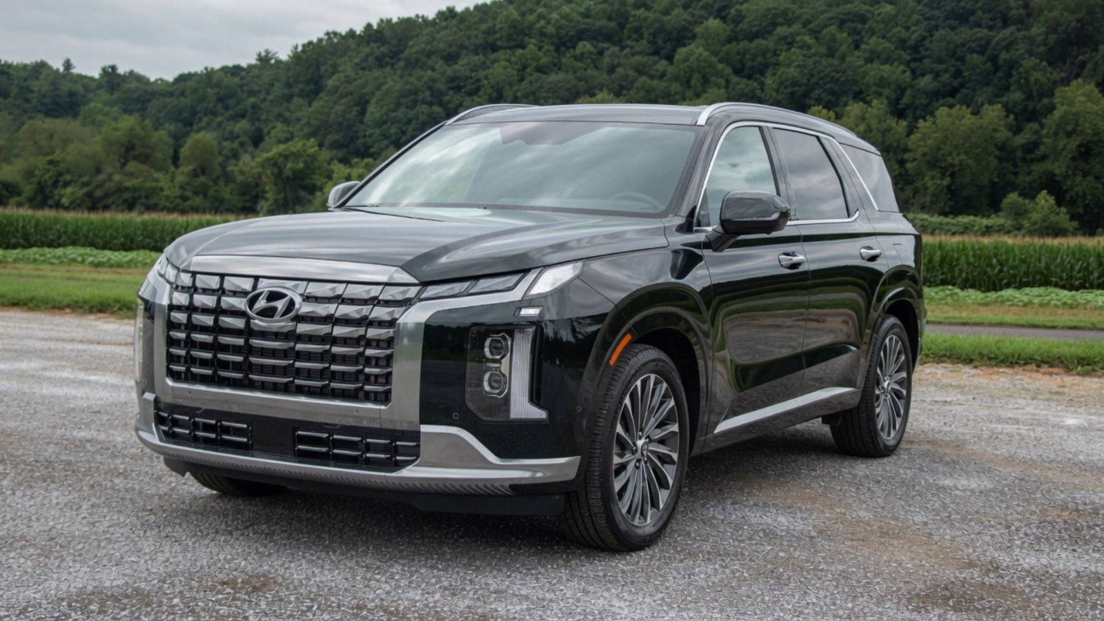 hyundai palisade sel parked against a scenic countryside backdrop