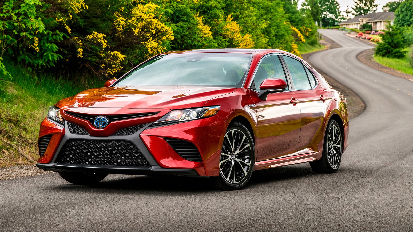 Toyota Camry Hybrid parked on a scenic road, showcasing its efficient and refined sedan design