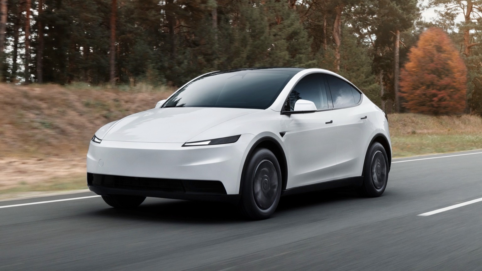 2026 Tesla Model Y Standard RWD