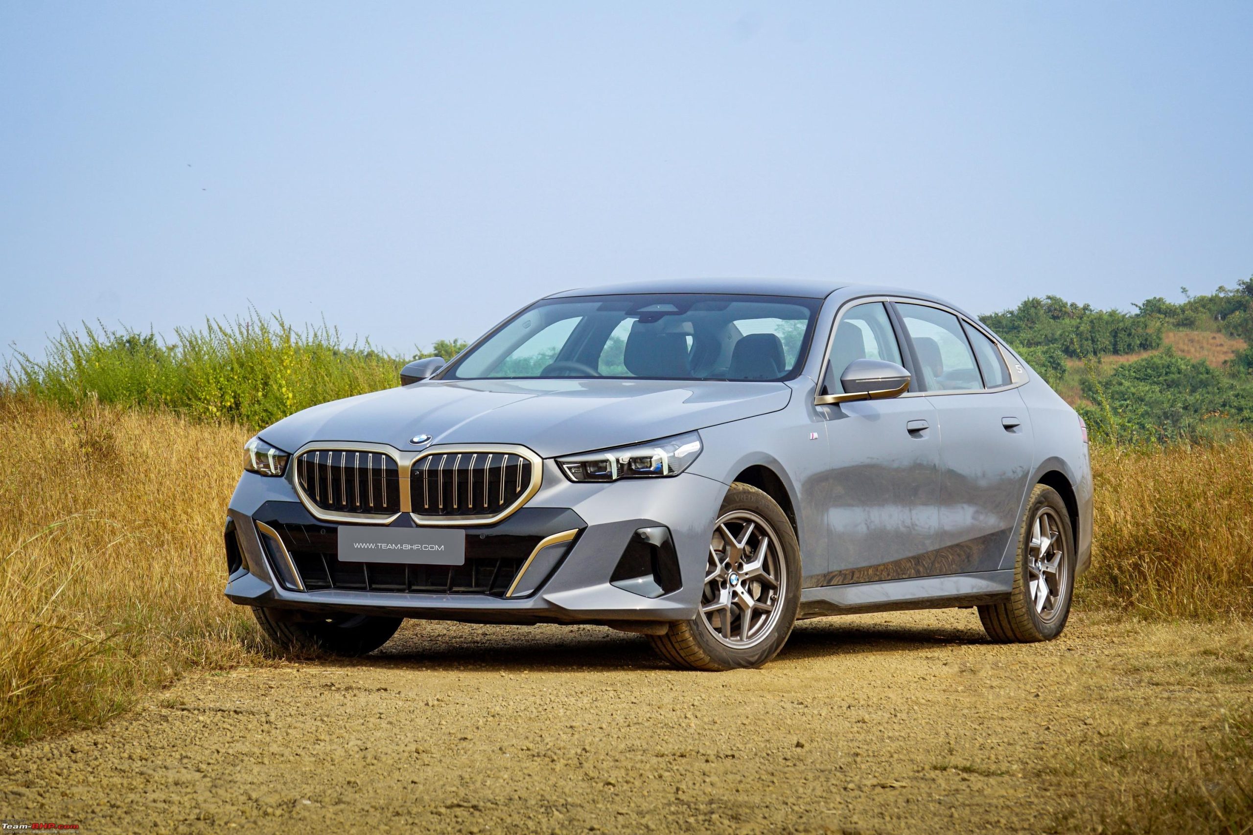 A BMW 5 Series is standing in a dry grassy patch