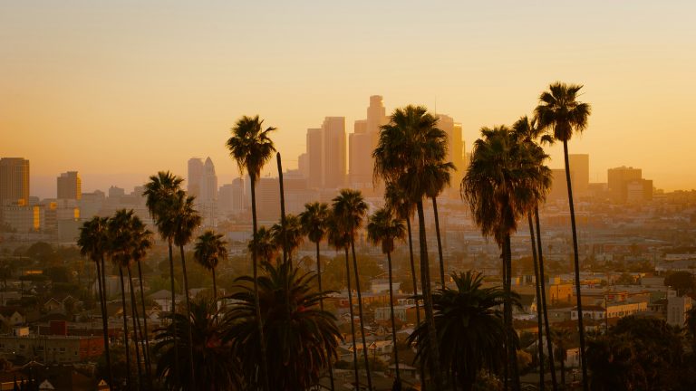 Skyscrapers with palm trees is shown in the above image