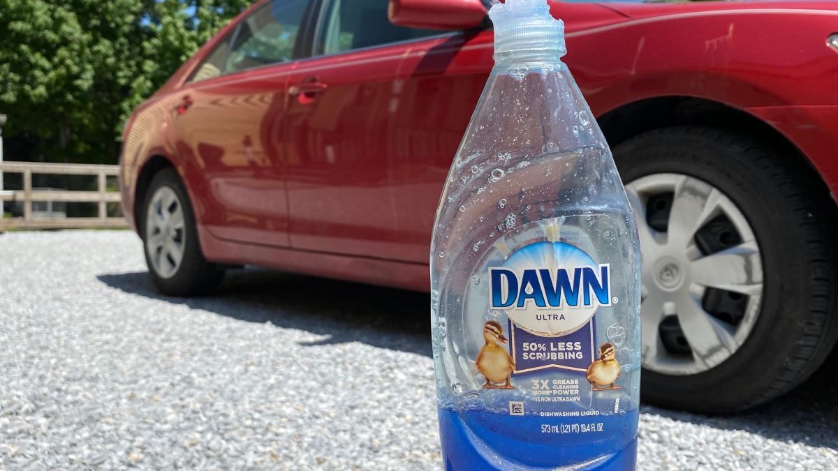 Dish Detergent