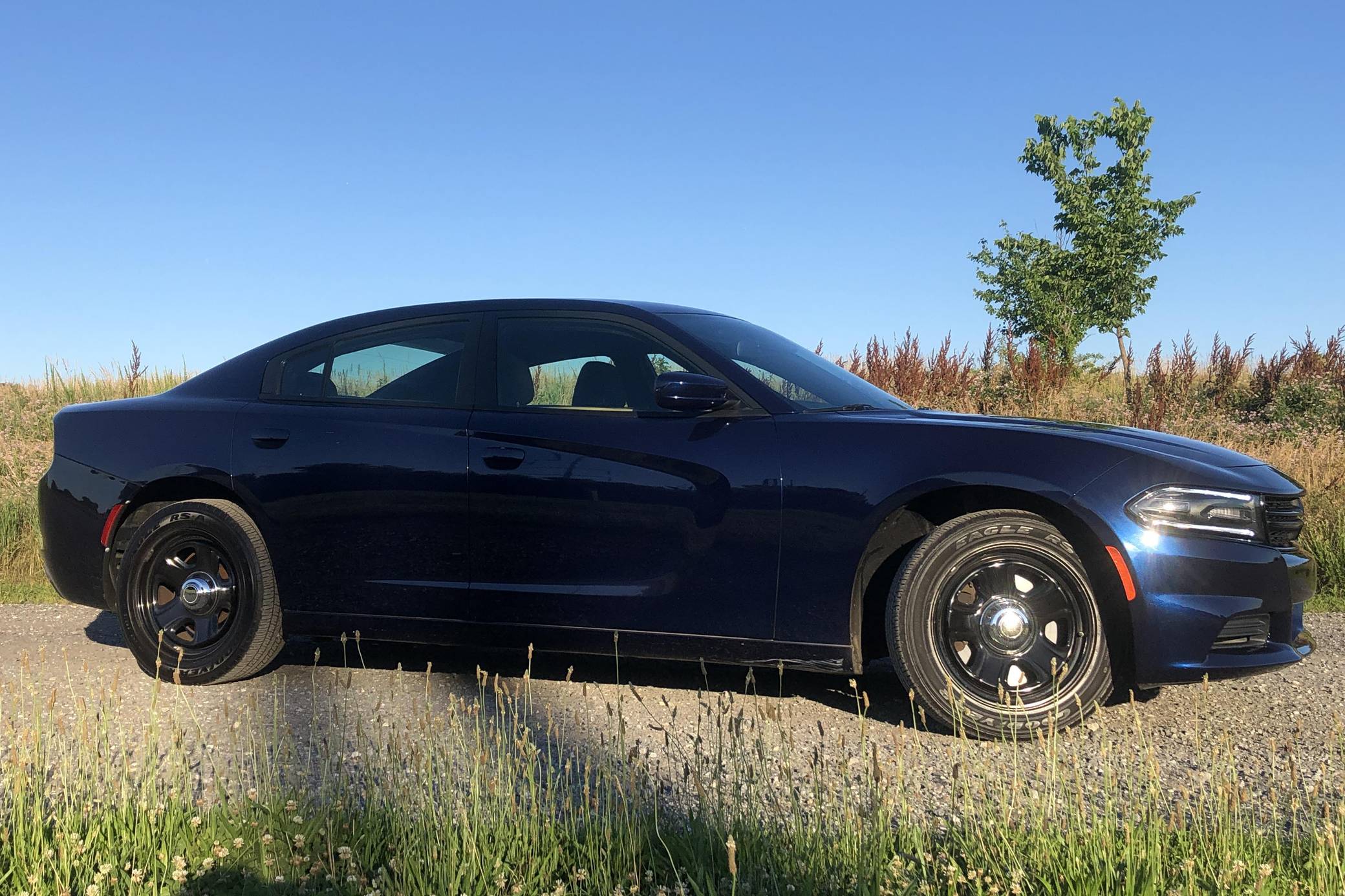 Dodge Charger Pursuit