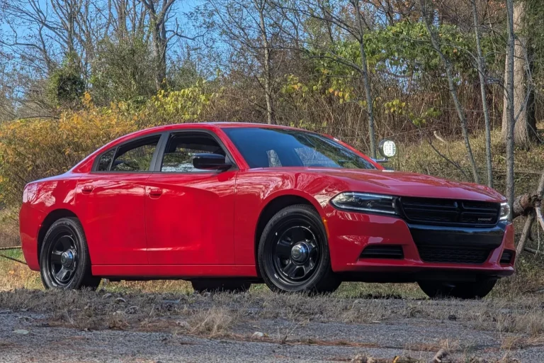 A Dodge is standing on a concrete road on a sunny day