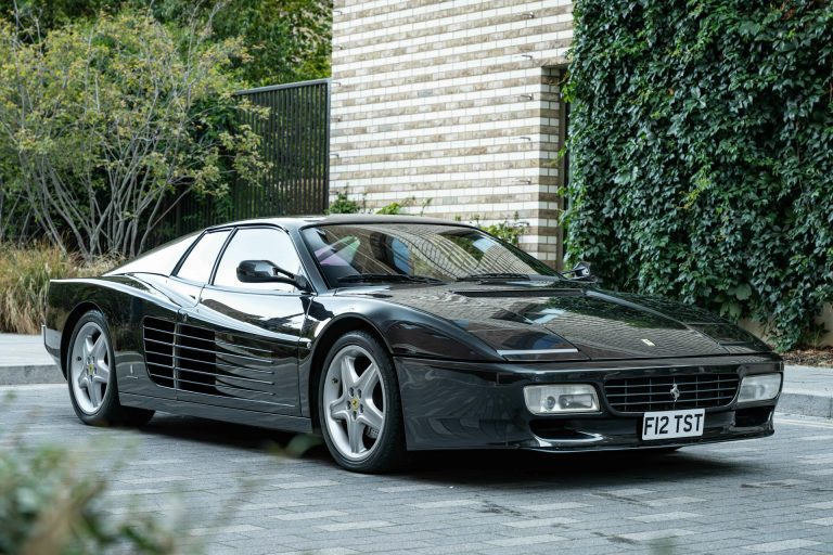 A black Ferrari 512 TR is standing on a narrow pathway surrounded by green plants