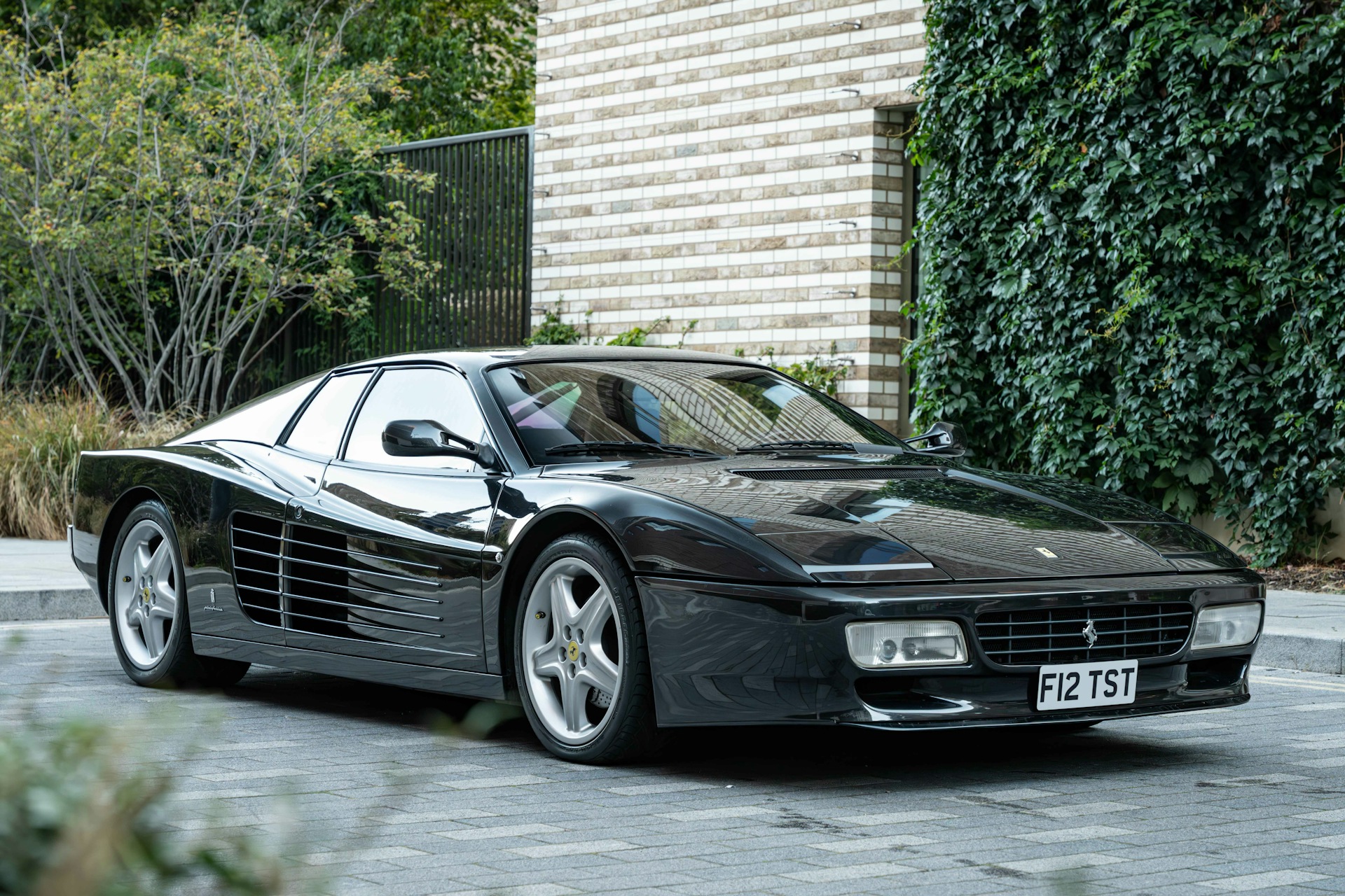 A black Ferrari 512 TR is standing on a narrow pathway surrounded by green plants