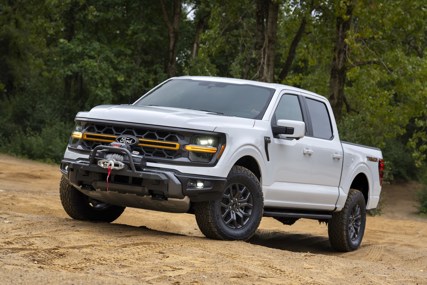 Ford F-150 Series