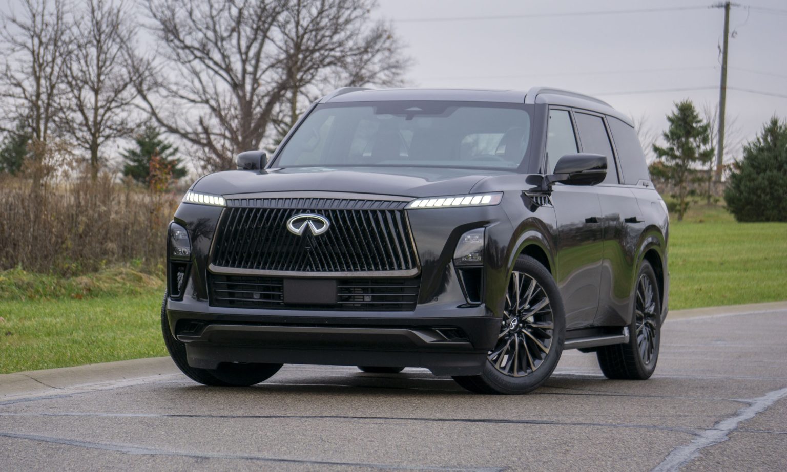 An Infinity QX80 is standing on the road near the grass land