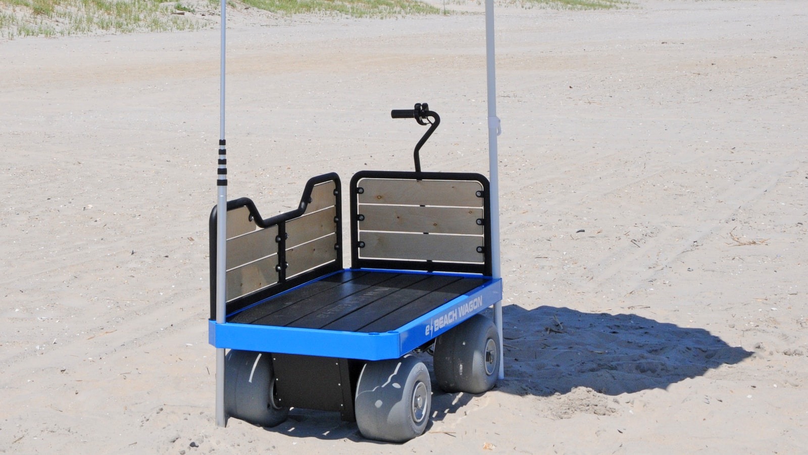 Motorized Cart