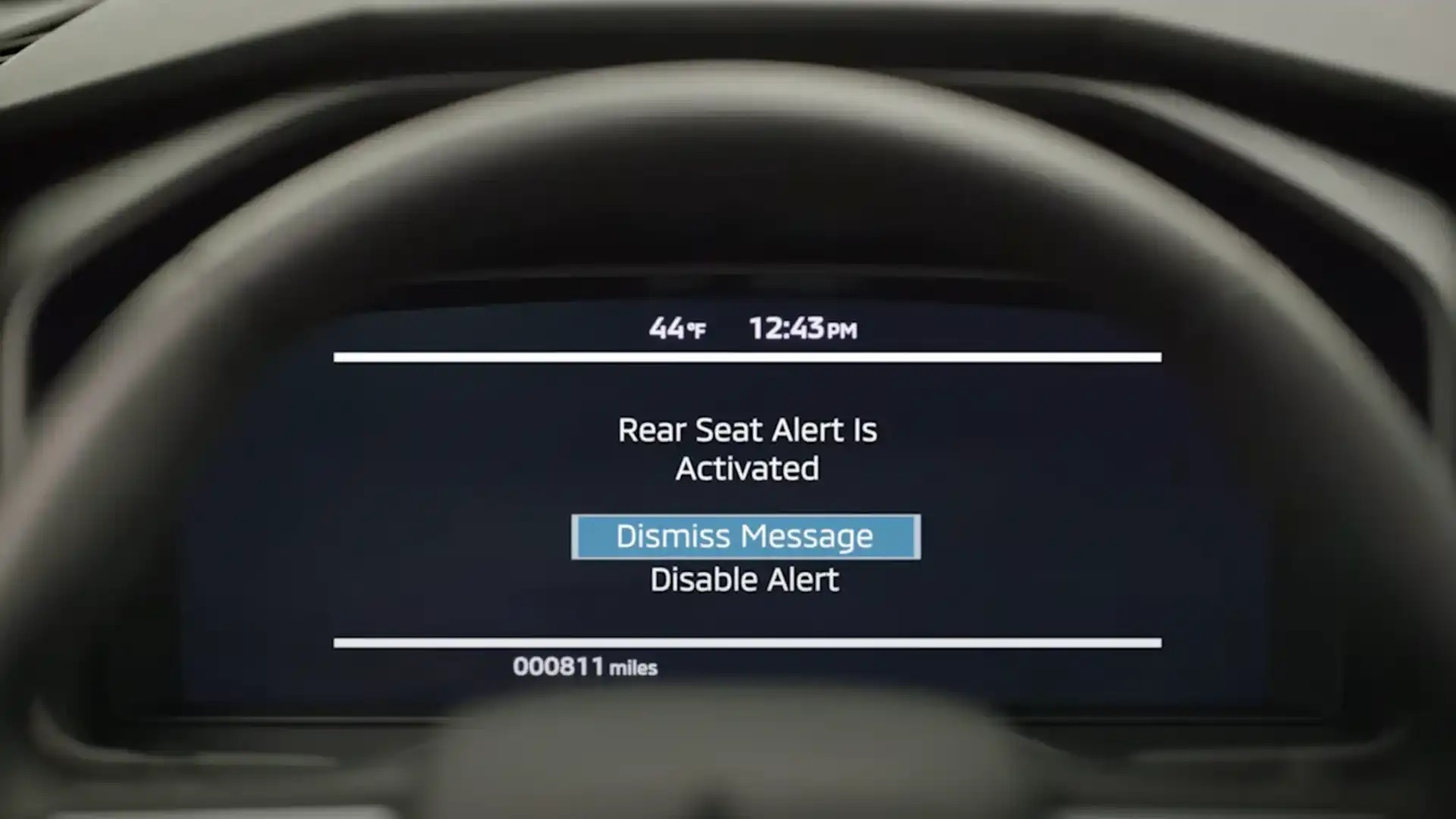 Rear Seat and Reminder Alerts