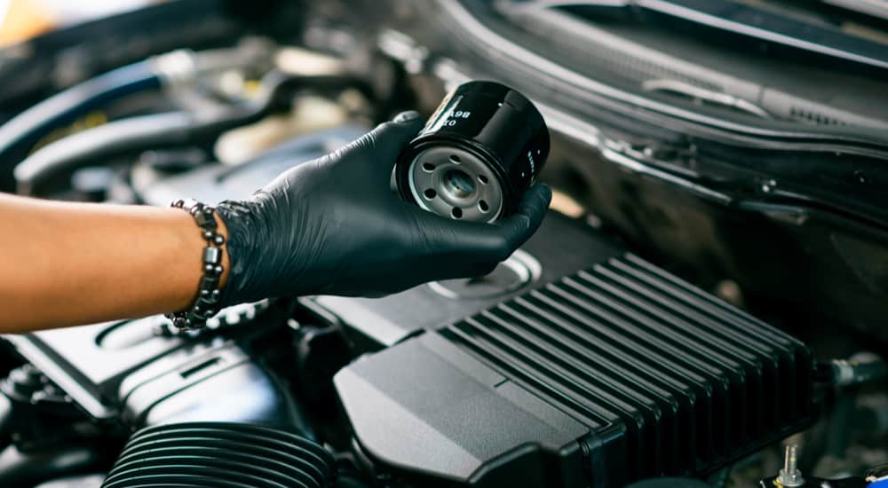 Replace the Engine Oil and Filter