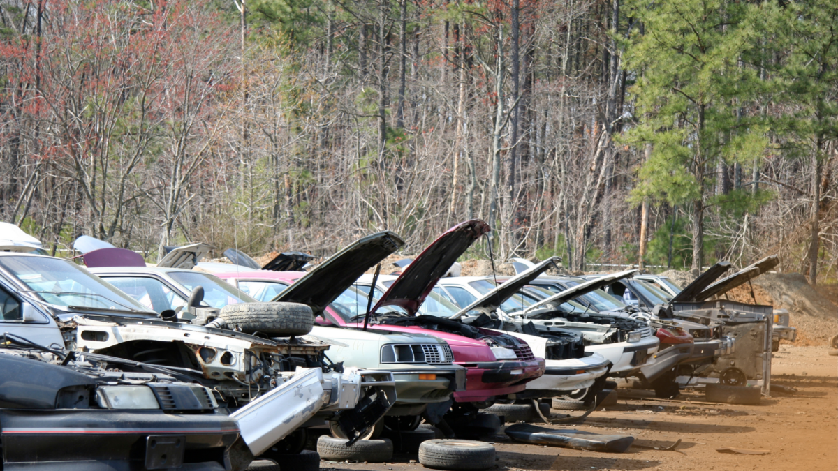 Plenty of cars standing in a scrapyard