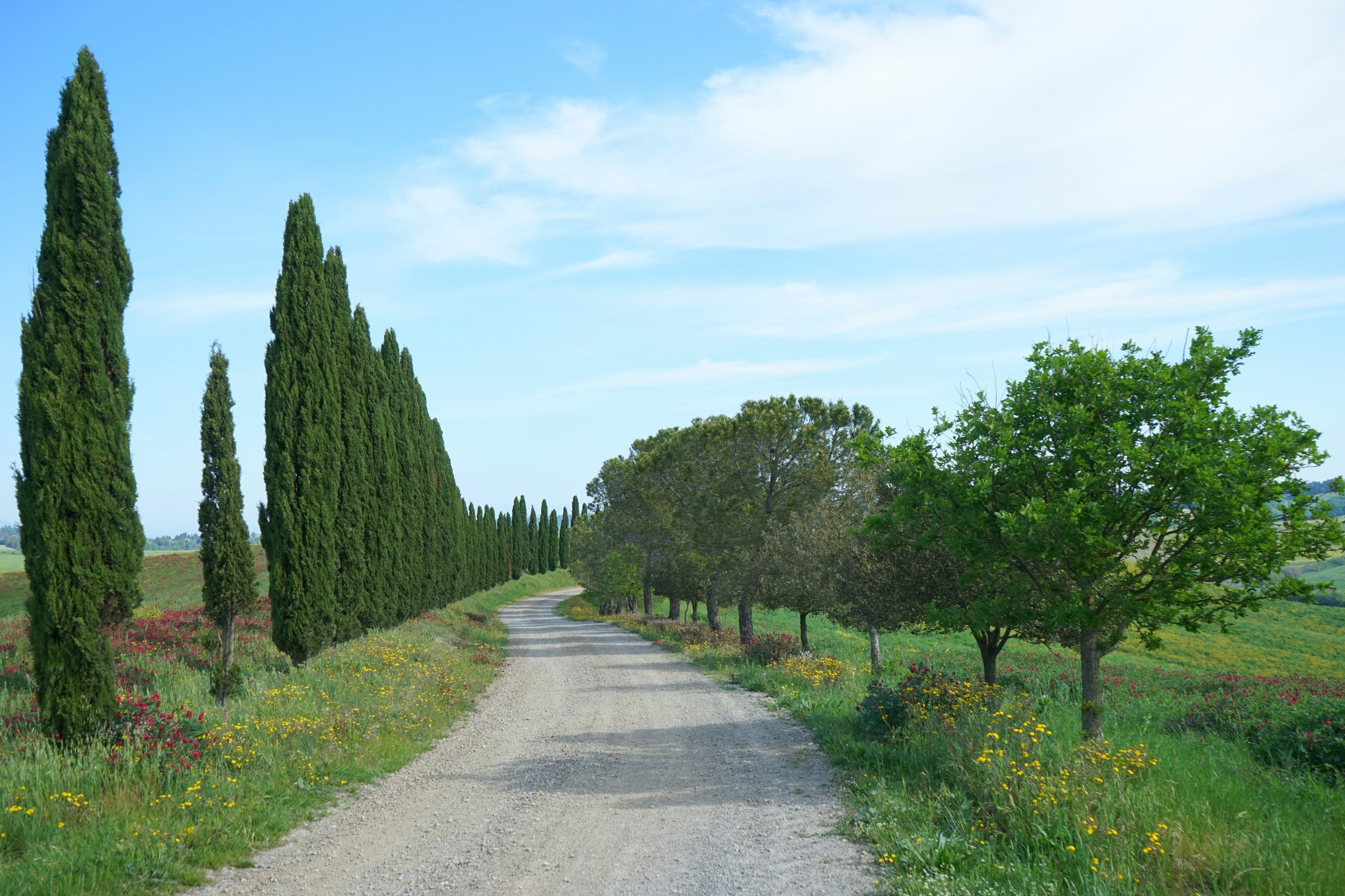 Spring Hill