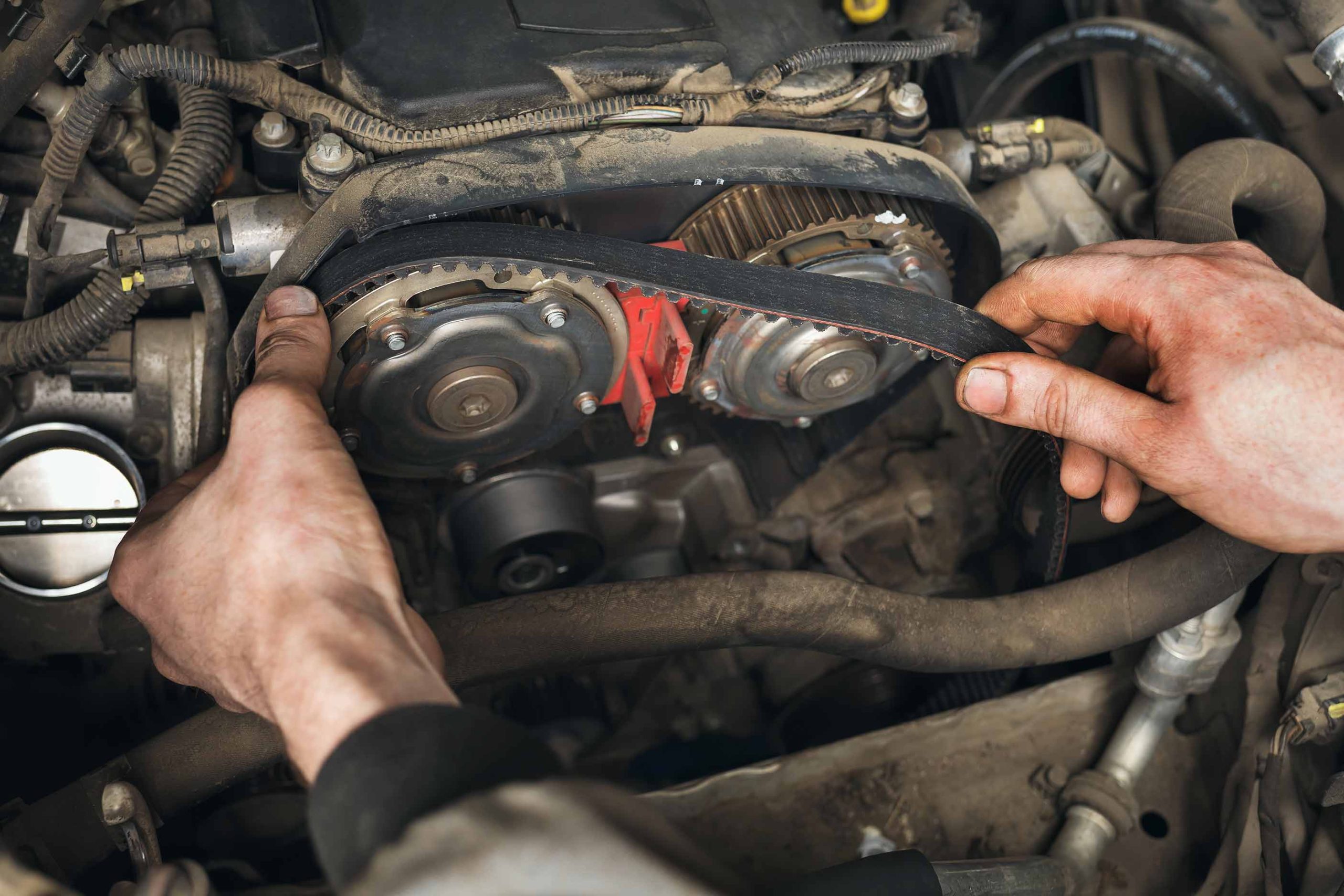 Timing Belt Replacement