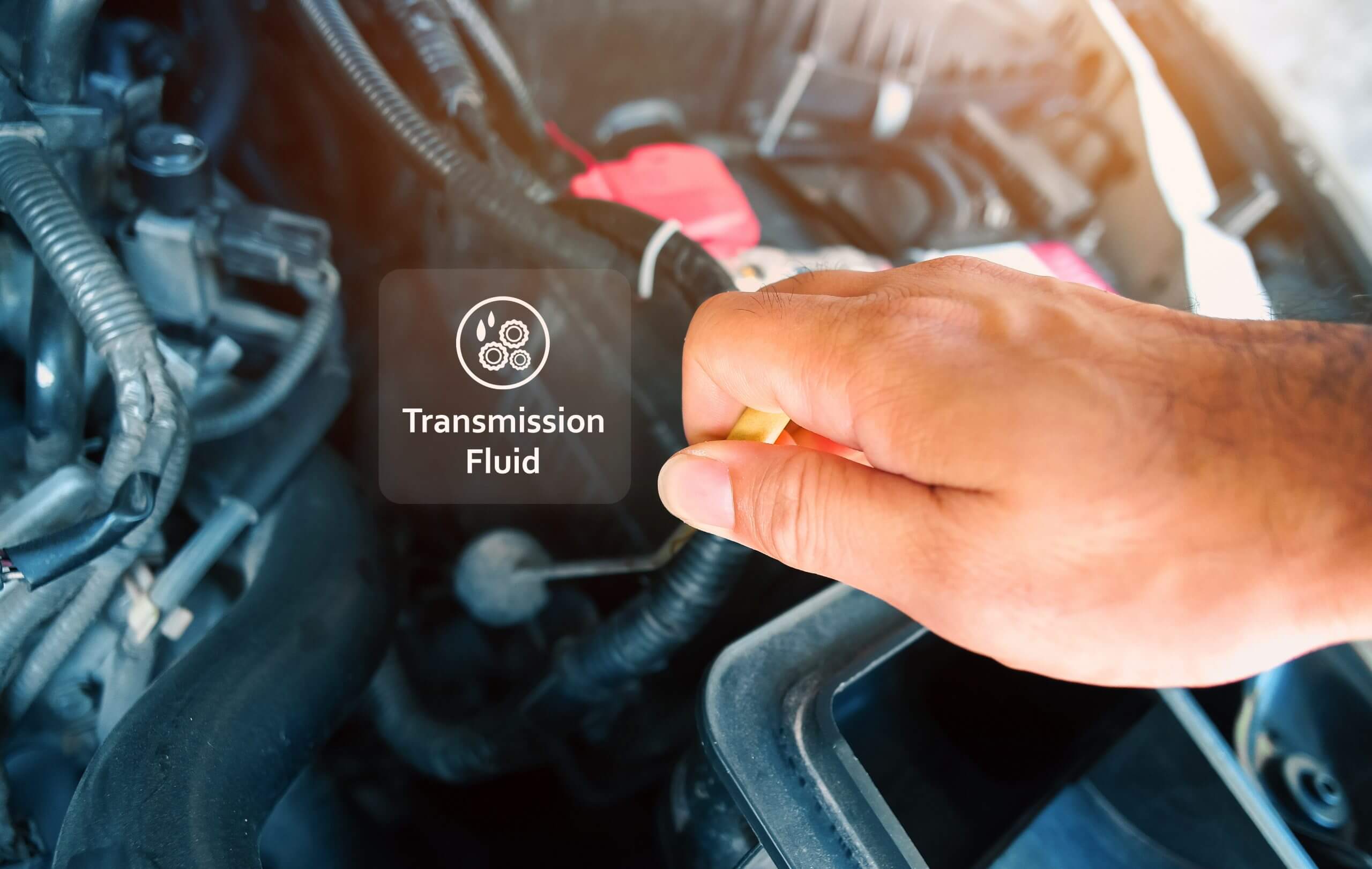 Transmission fluid in a vehicle's engine bay