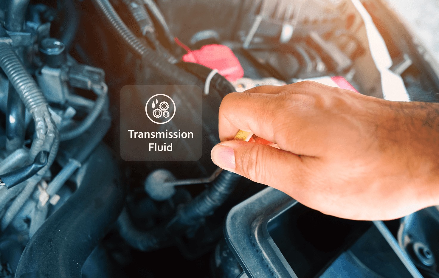 Transmission fluid