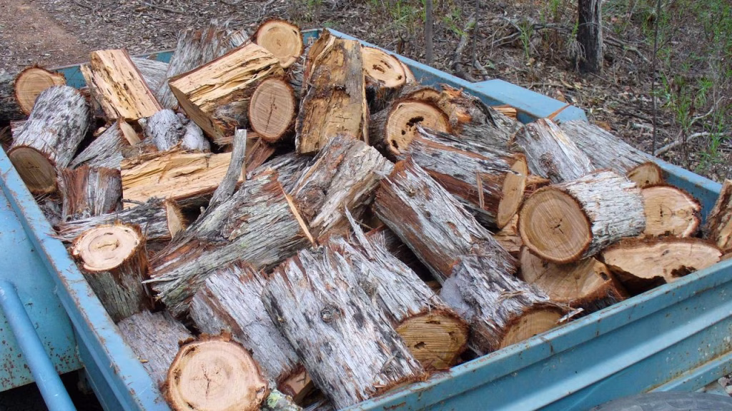 Untreated Firewood Taken Across a Regulated Boundary