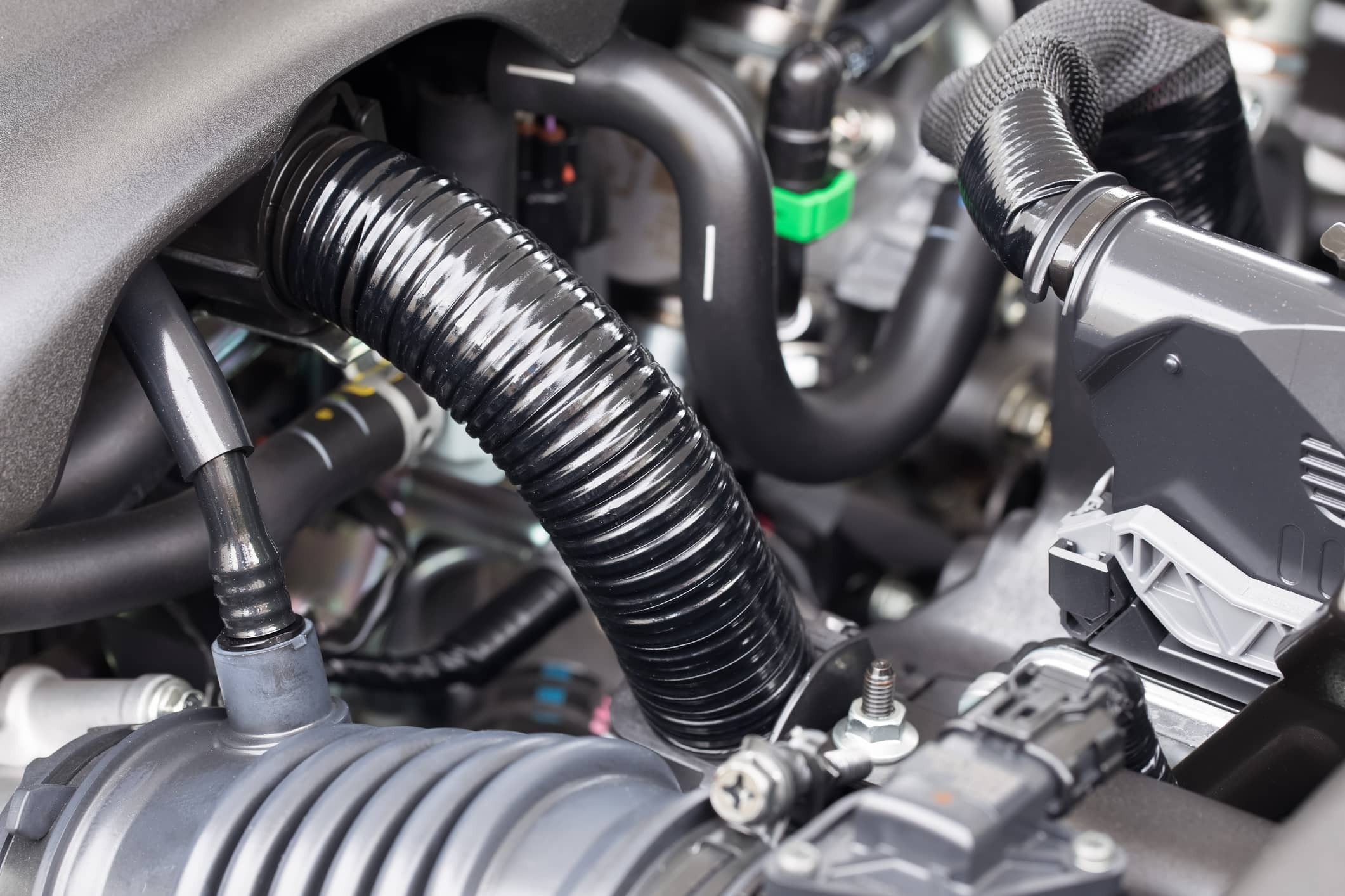 Vehicle EVAP system