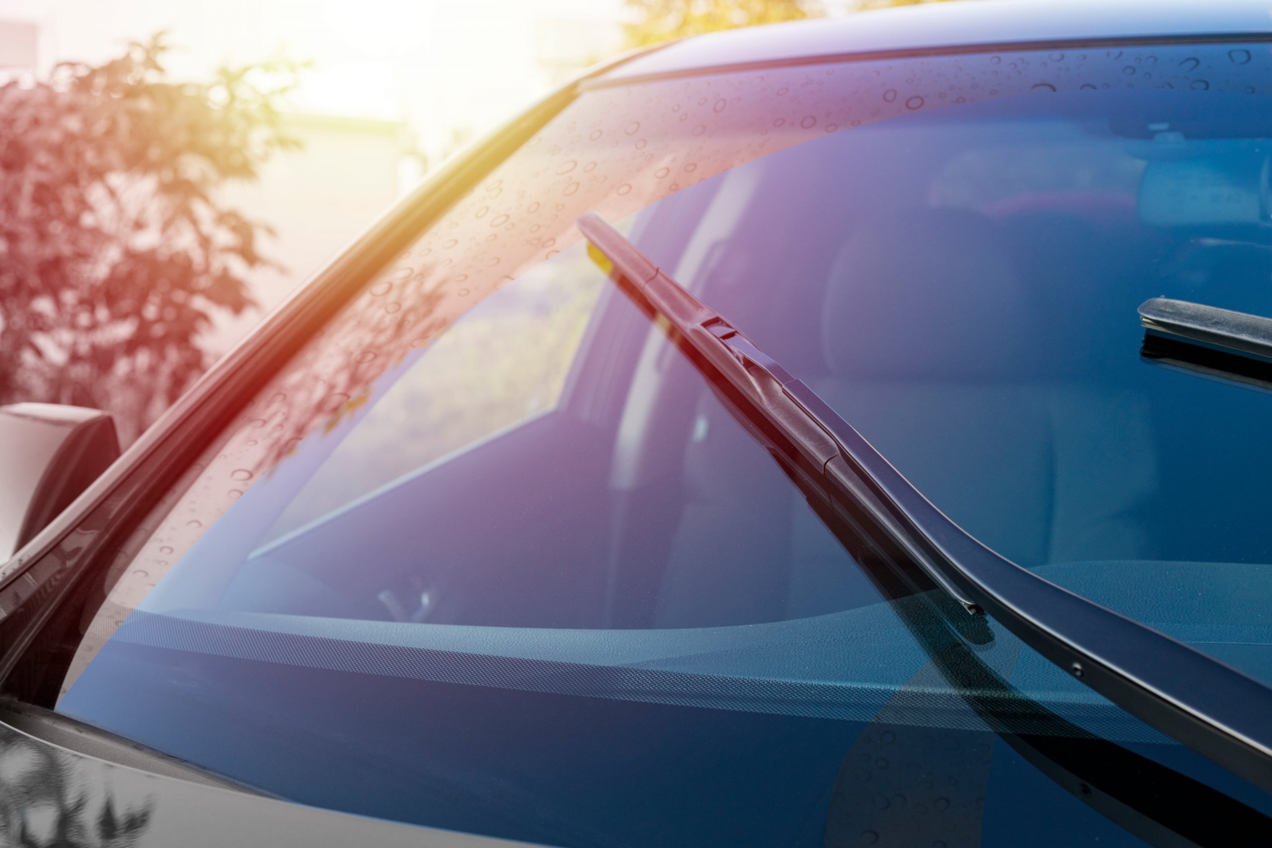 Windshields Can Carry Electronics