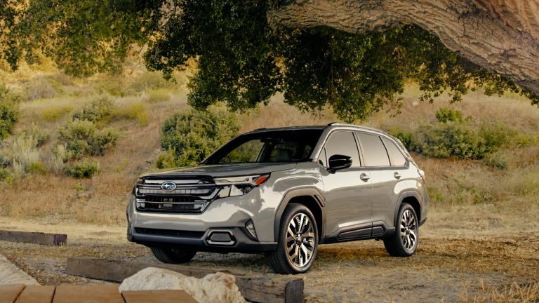 Subaru Forester parked beneath a large tree in a scenic woodland setting