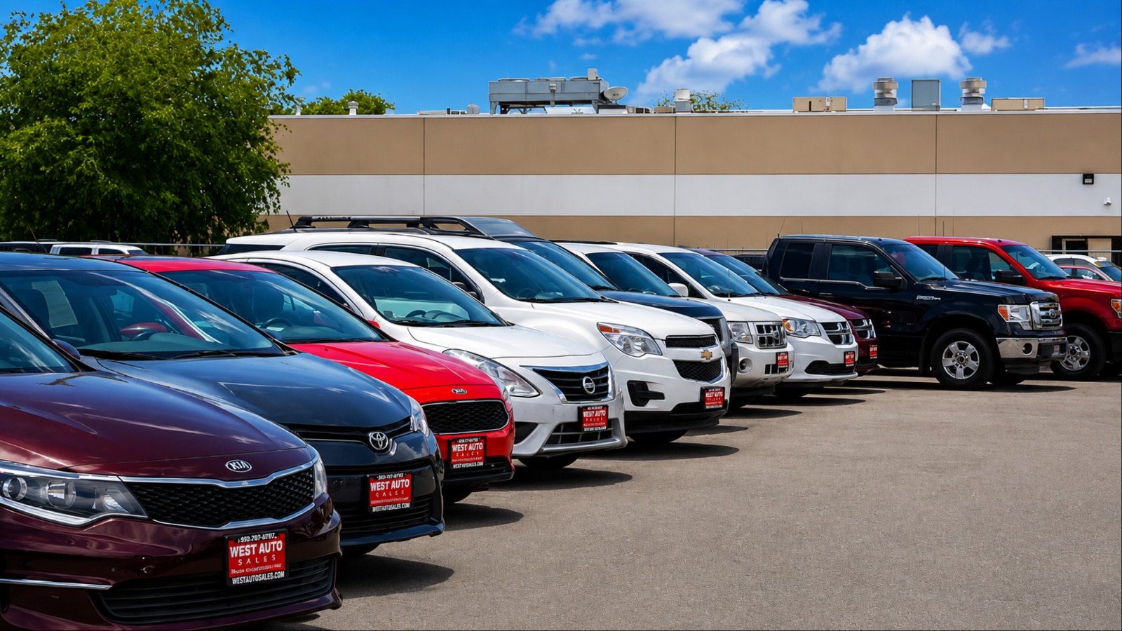 Used car dealership lot with rows of cars and SUVs for sale
