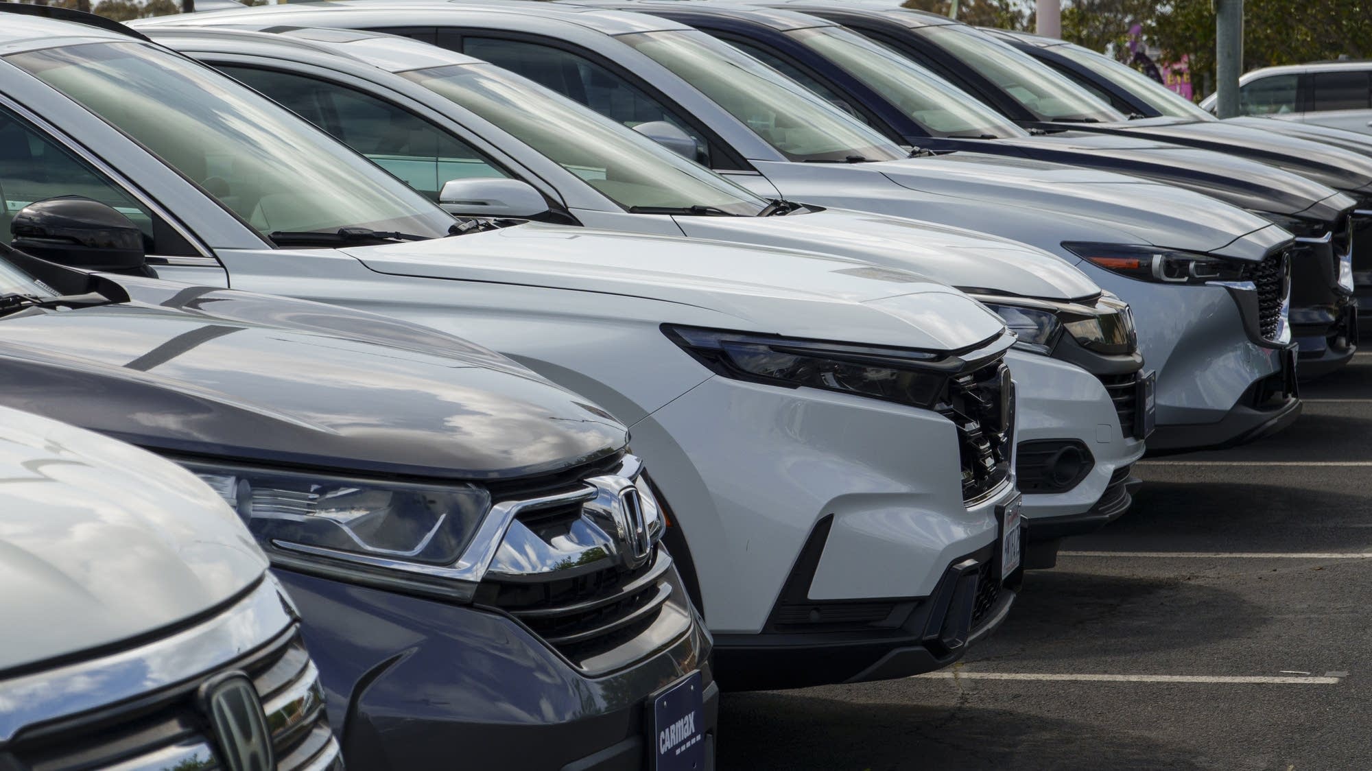 A row of white and silver SUVs parked at a CarMax dealership, showcasing varied front-end designs