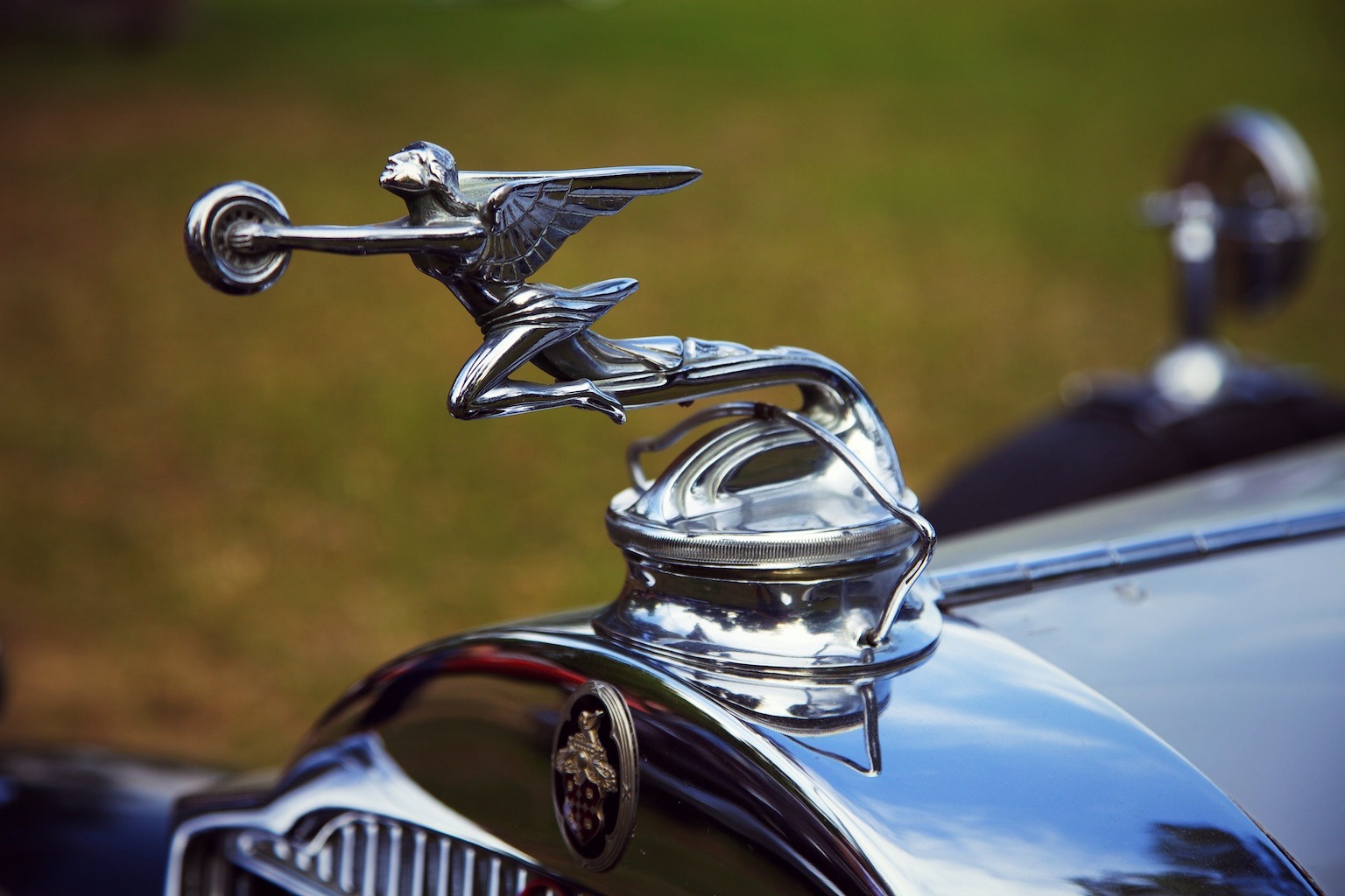 Hood Ornaments