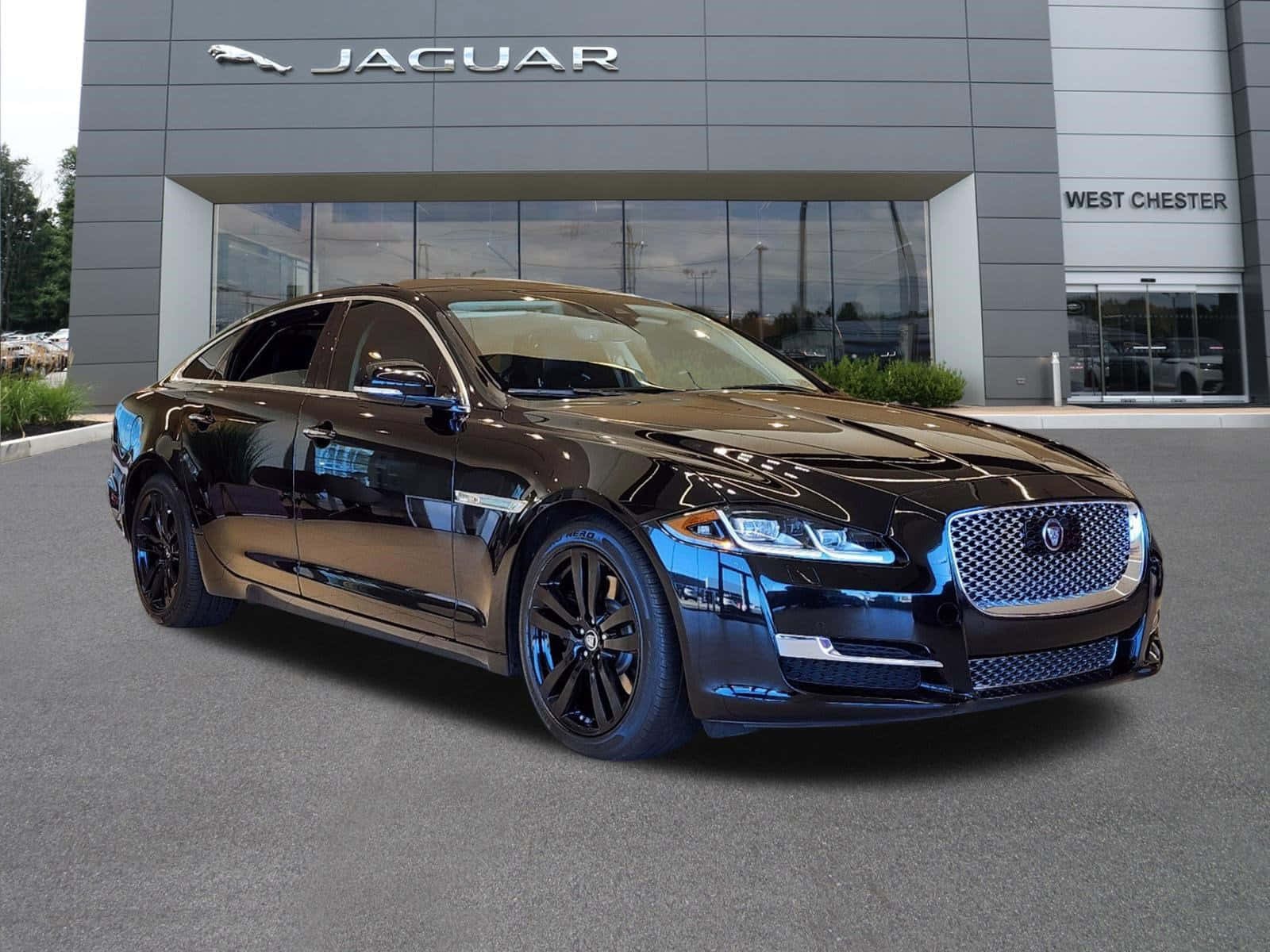 Jaguar