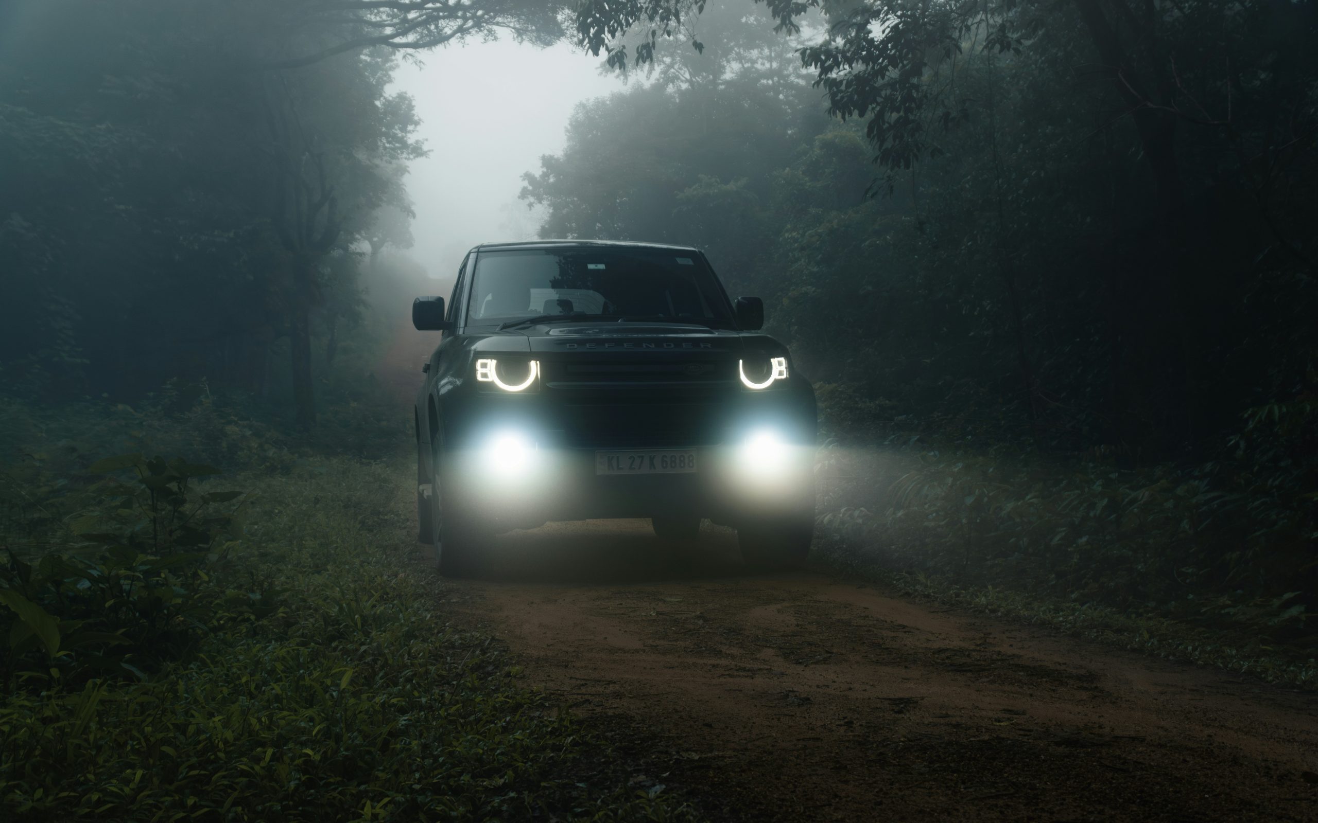 A Land Rover is riding in a dense forest with it's fog light on