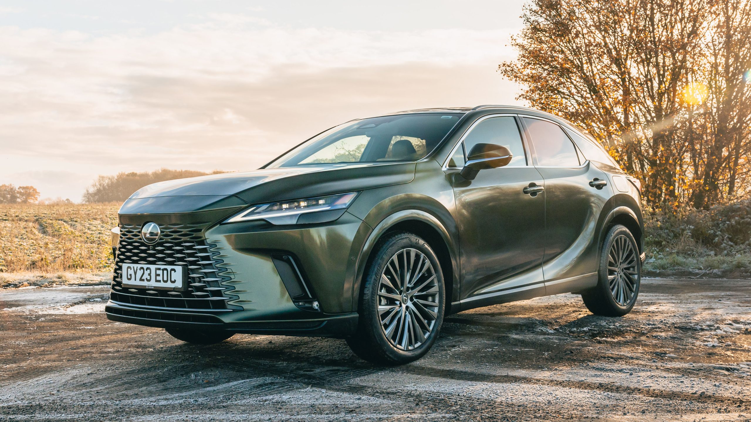Lexus RX 450h parked in golden-hour countryside, highlighting its elegant styling and premium hybrid SUV design