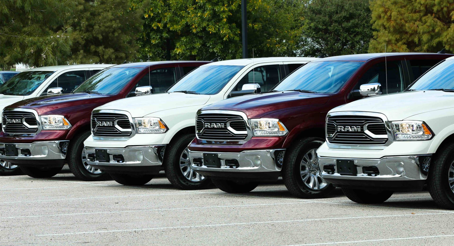 Ram pickup trucks lined up at a dealership, showcasing several models for sale