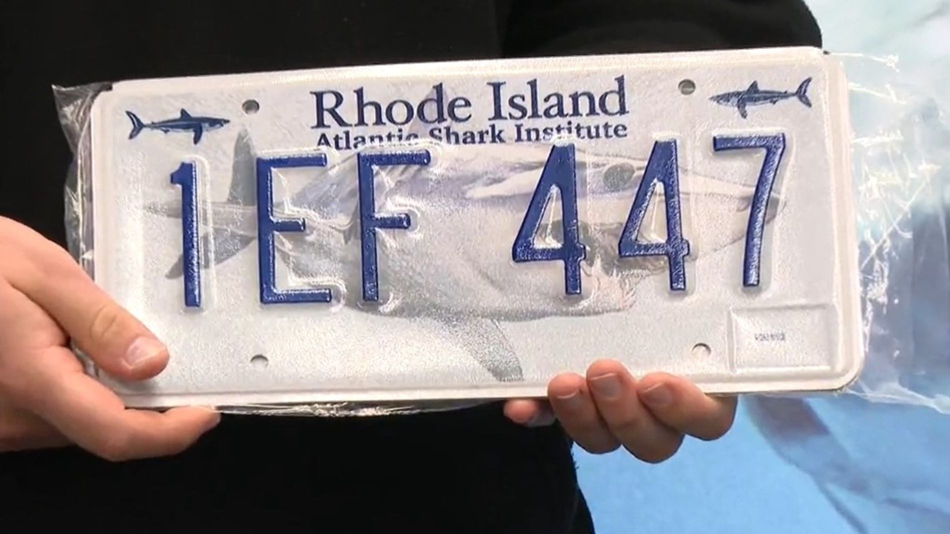 Rhode Island Atlantic Shark Institute charity license plate