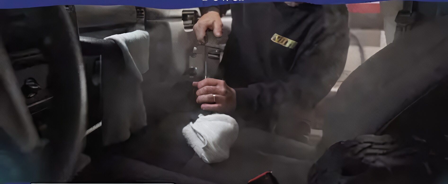 Steam Cleaner + Paint Roller