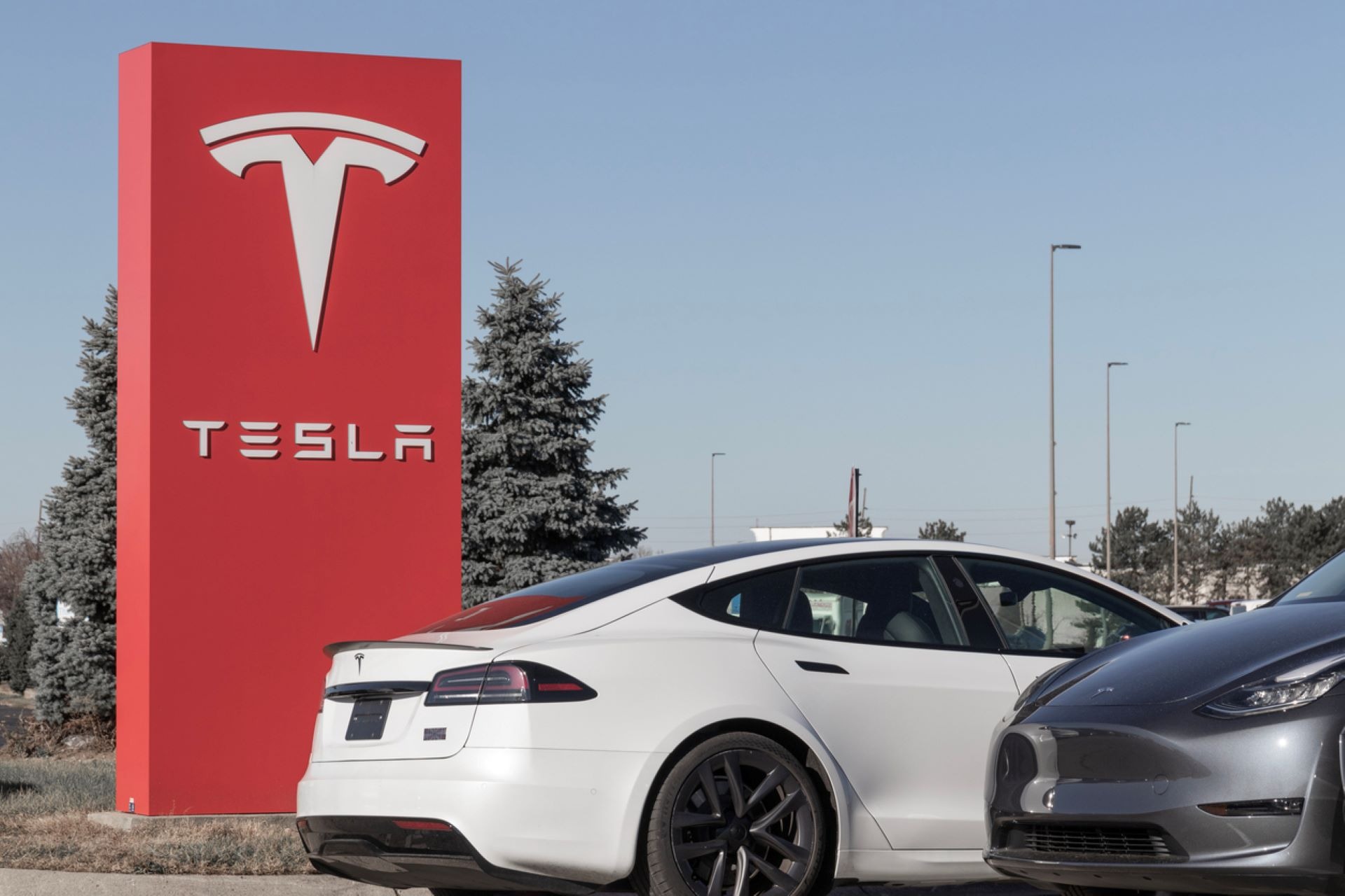 Tesla cars
