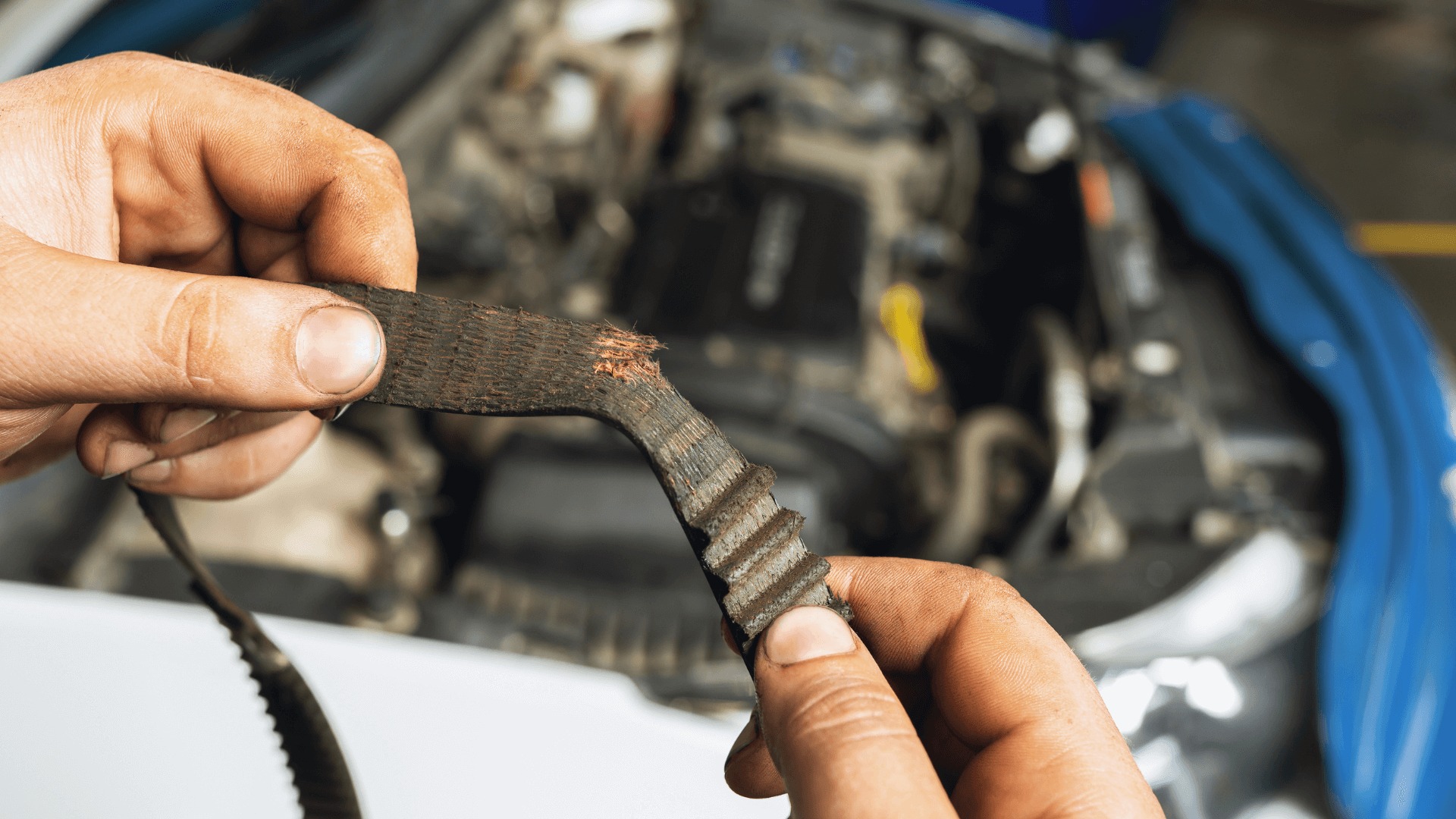 Timing Belt Wear