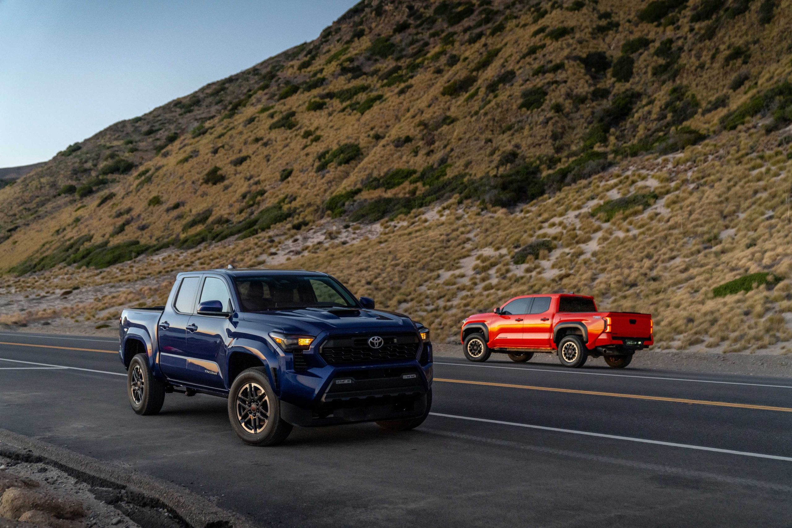 Toyota Tacoma Limited vs. TRD Off-Road