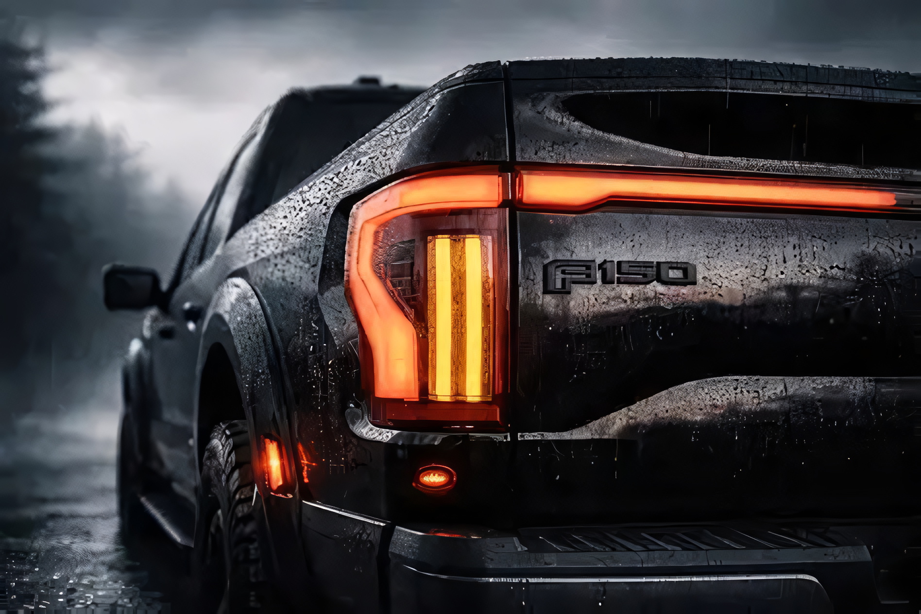 Rear view of a Ford F-150